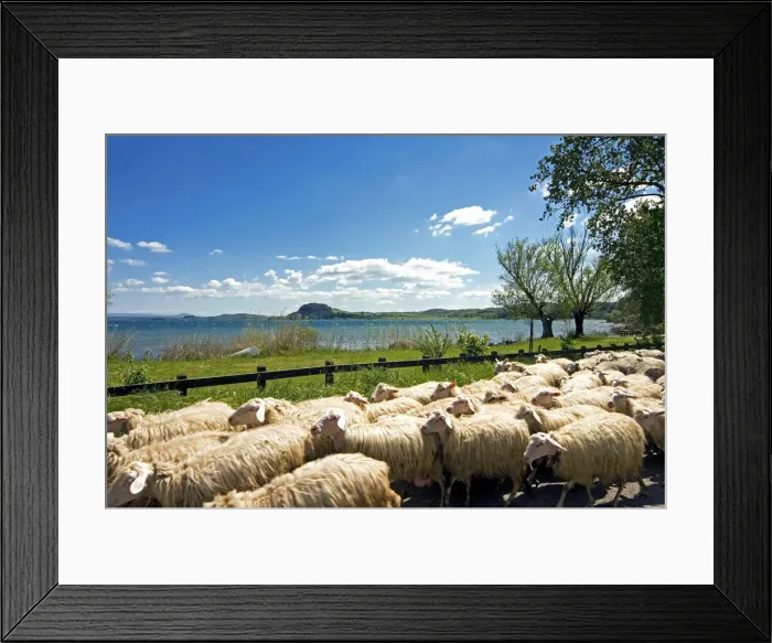 Framed Print : DDE-90032484