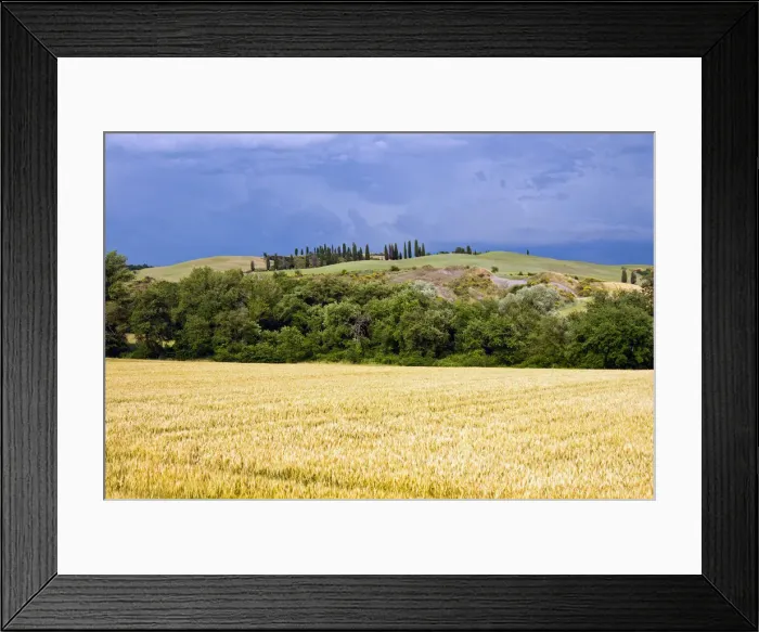 Framed Print : DDE-90032489 Framed Print : DDE-90032489
