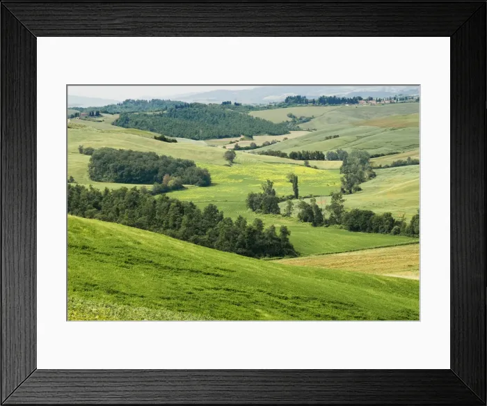 Framed Print : DDE-90032491