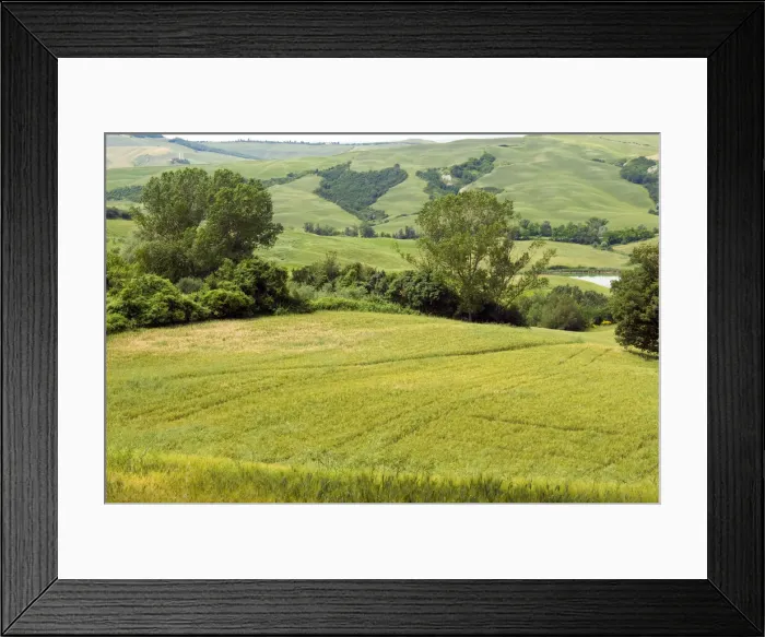 Framed Print : DDE-90032492 Framed Print : DDE-90032492