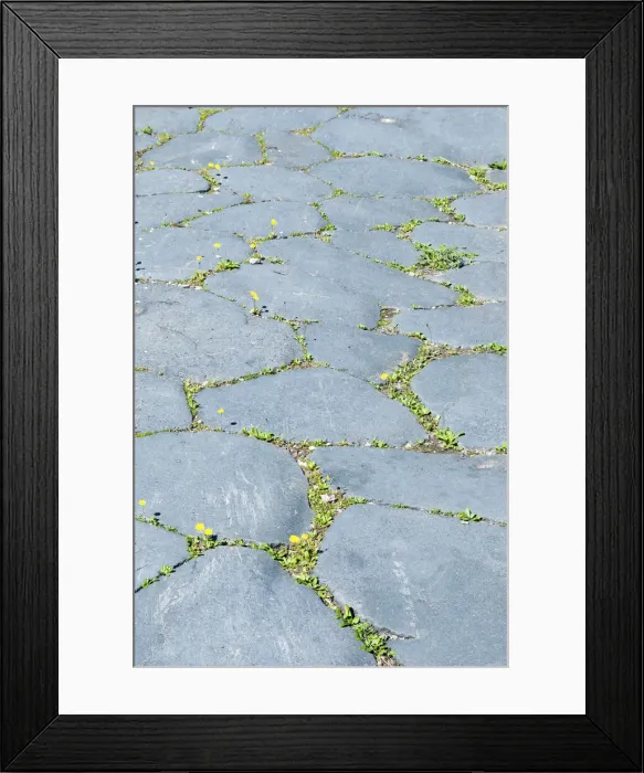 Framed Print : DDE-90032488 Framed Print : DDE-90032488