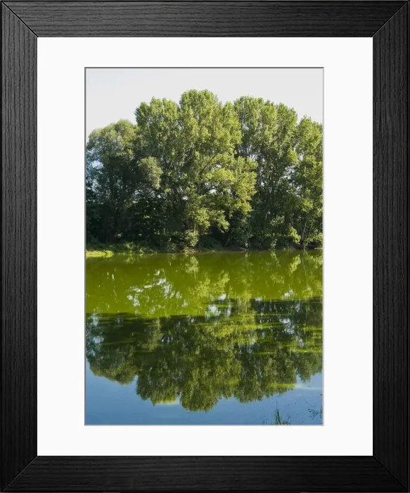 Framed Print : DDE-90032495