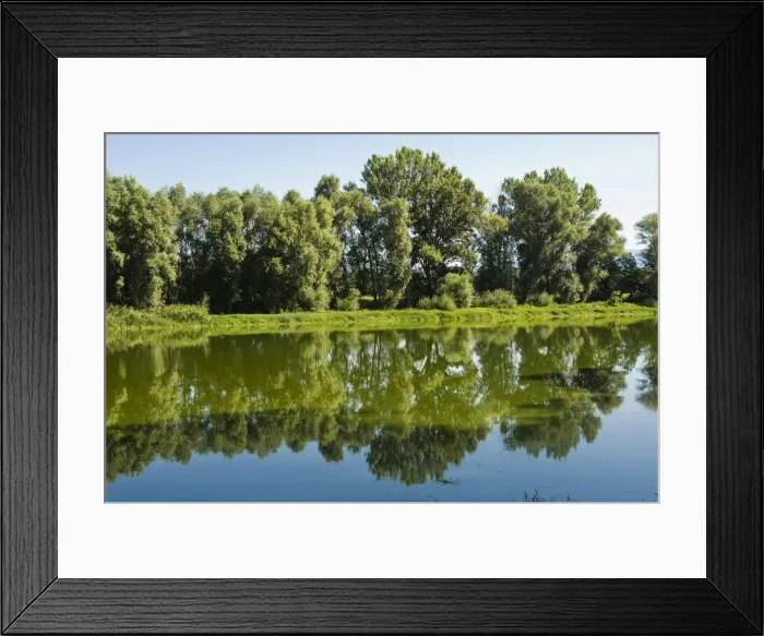 Framed Print : DDE-90032496 Framed Print : DDE-90032496