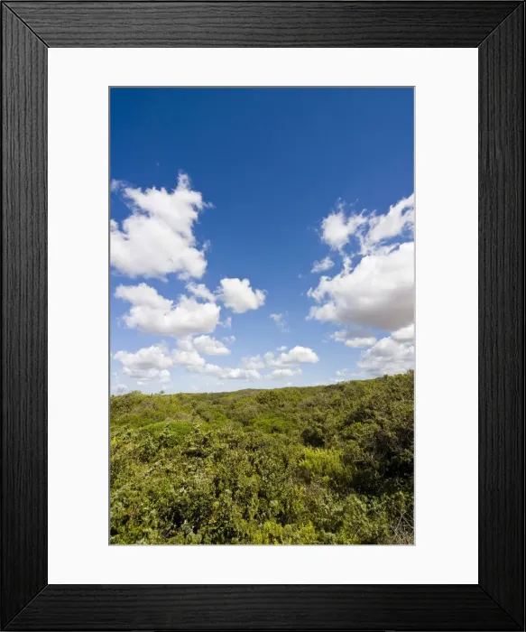 Framed Print : DDE-90032499