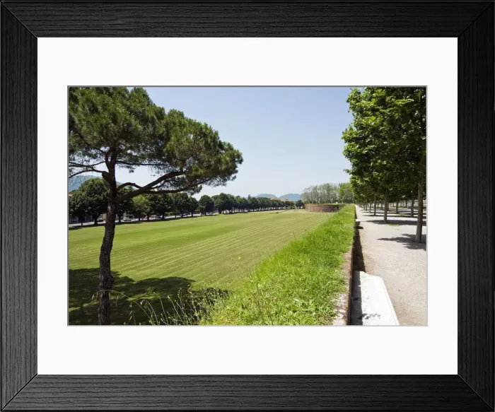 Framed Print : DDE-90032502 Framed Print : DDE-90032502