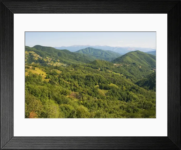 Framed Print : DDE-90032504 Framed Print : DDE-90032504
