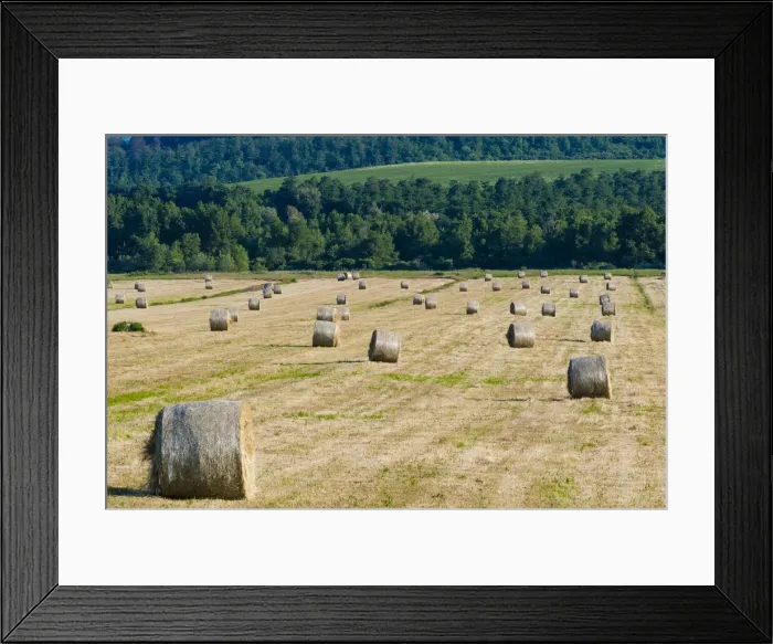 Framed Print : DDE-90032512 Framed Print : DDE-90032512