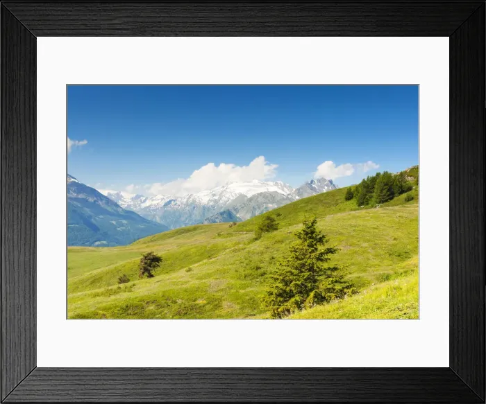 Framed Print : DDE-90032517 Framed Print : DDE-90032517