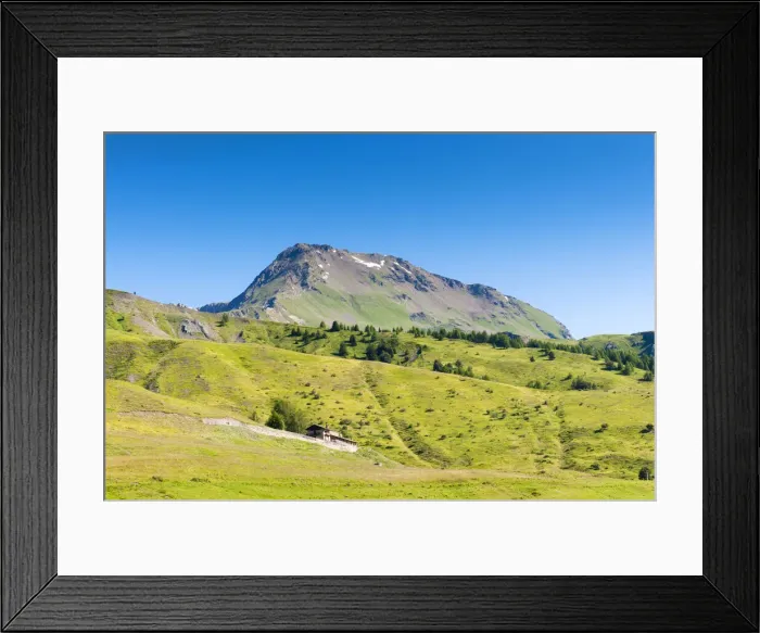 Framed Print : DDE-90032520 Framed Print : DDE-90032520