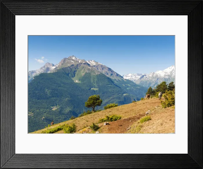 Framed Print : DDE-90032522 Framed Print : DDE-90032522