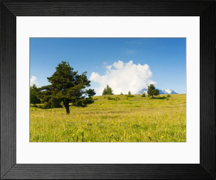 Framed Print : DDE-90032525