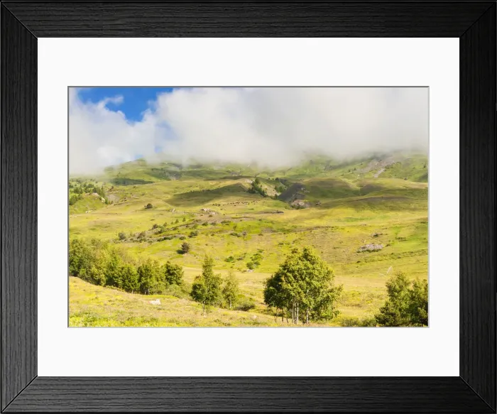 Framed Print : DDE-90032526 Framed Print : DDE-90032526