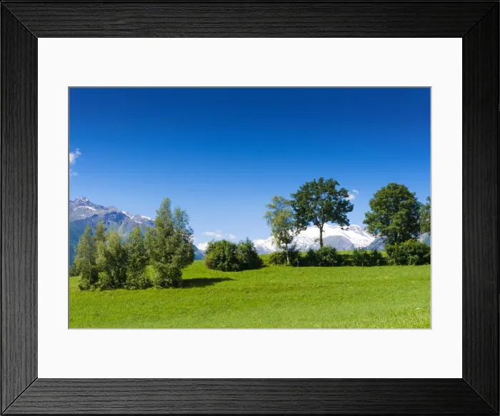 Framed Print : DDE-90032528 Framed Print : DDE-90032528