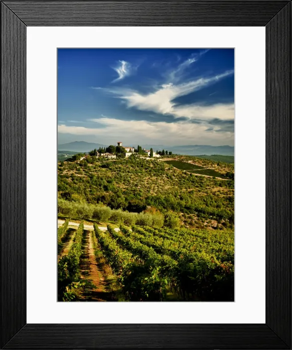 Framed Print : DDE-90032539