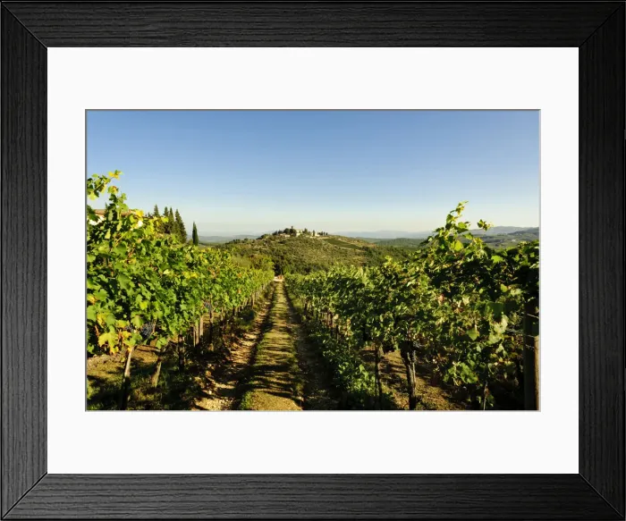 Framed Print : DDE-90032537 Framed Print : DDE-90032537