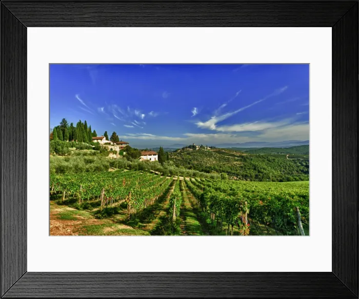 Framed Print : DDE-90032540 Framed Print : DDE-90032540