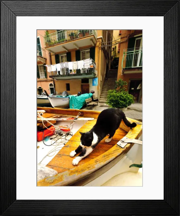 Framed Print : DDE-90032544