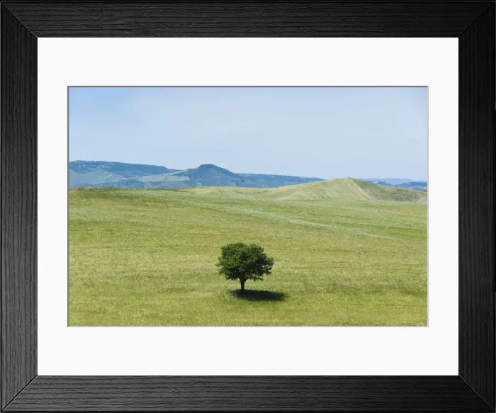 Framed Print : DDE-90032547 Framed Print : DDE-90032547