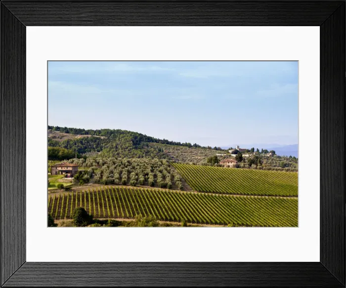 Framed Print : DDE-90032550 Framed Print : DDE-90032550