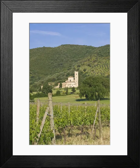 Framed Print : DDE-90032552 Framed Print : DDE-90032552