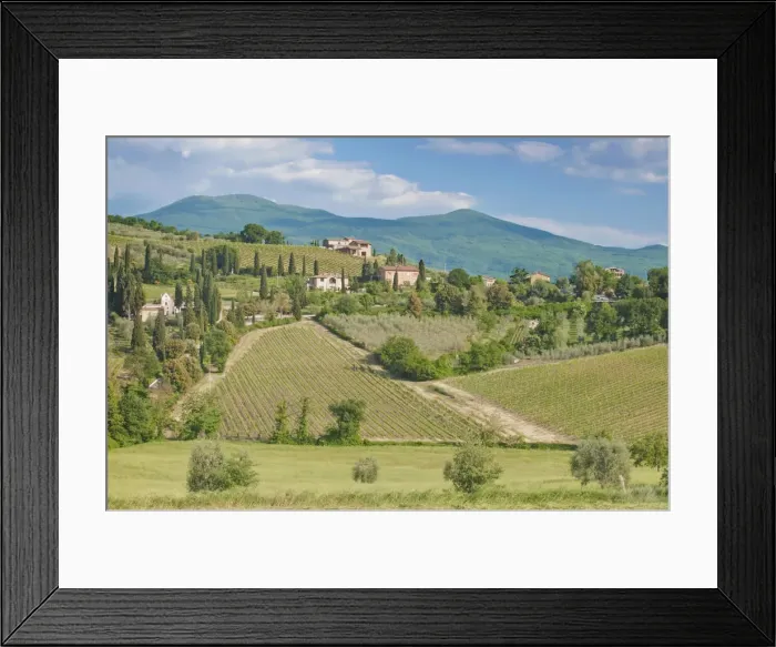 Framed Print : DDE-90032558 Framed Print : DDE-90032558