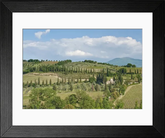 Framed Print : DDE-90032559 Framed Print : DDE-90032559