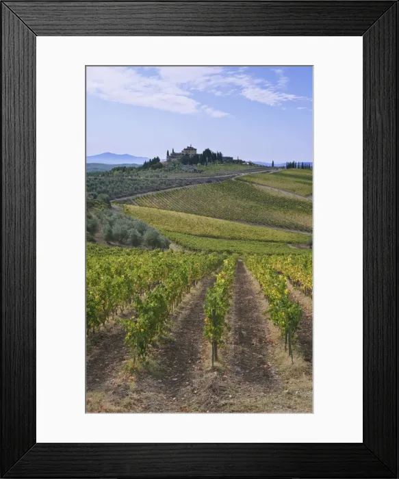 Framed Print : DDE-90032561 Framed Print : DDE-90032561