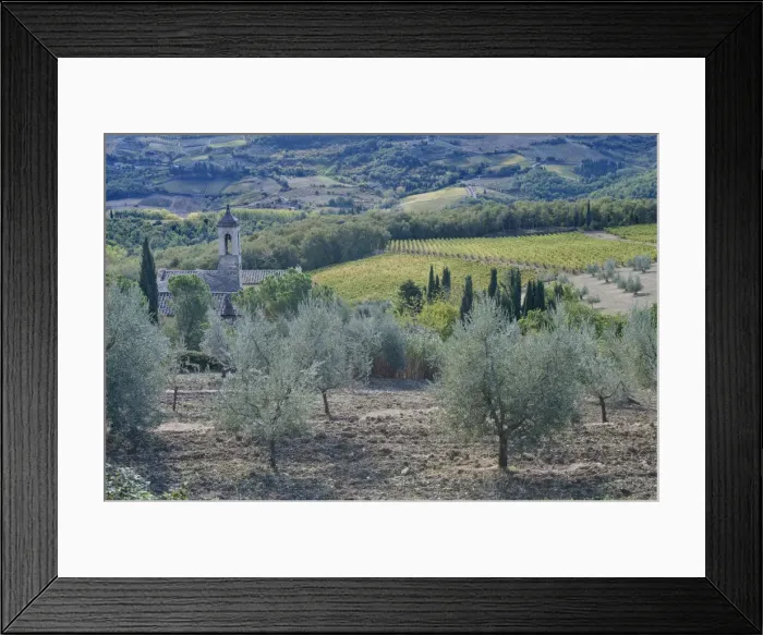 Framed Print : DDE-90032563 Framed Print : DDE-90032563
