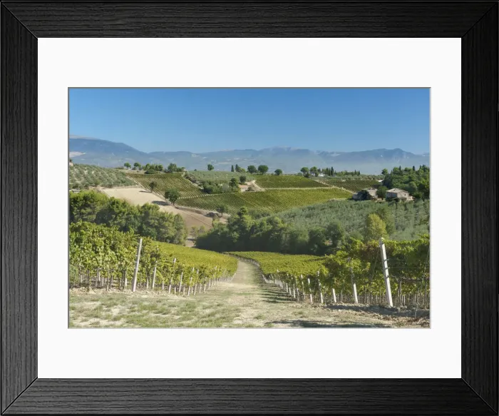Framed Print : DDE-90032568 Framed Print : DDE-90032568