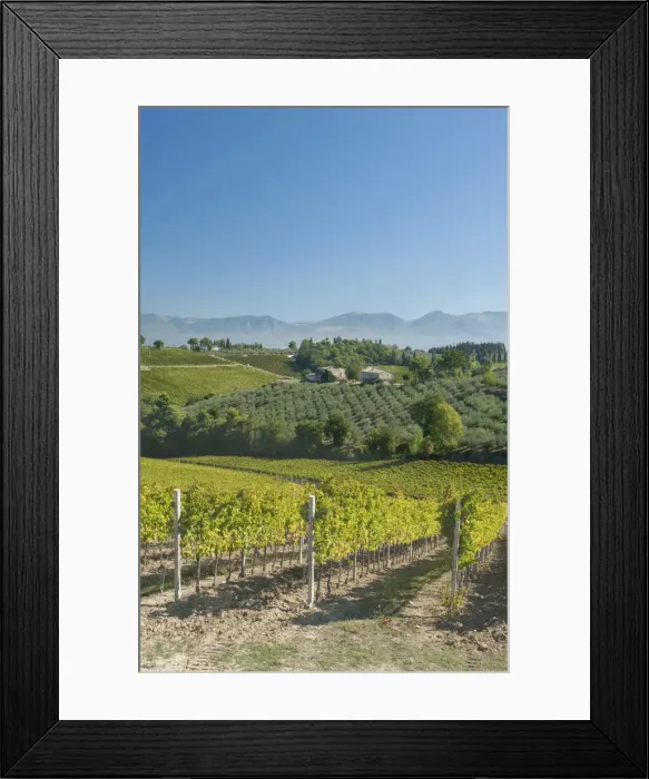 Framed Print : DDE-90032567 Framed Print : DDE-90032567