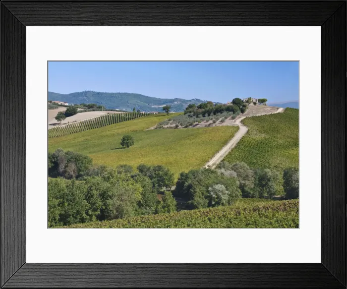 Framed Print : DDE-90032569 Framed Print : DDE-90032569