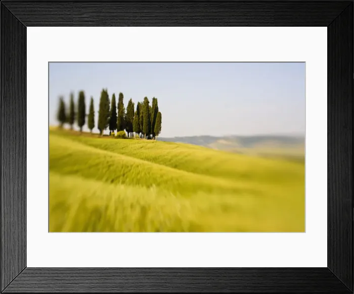 Framed Print : DDE-90032594 Framed Print : DDE-90032594