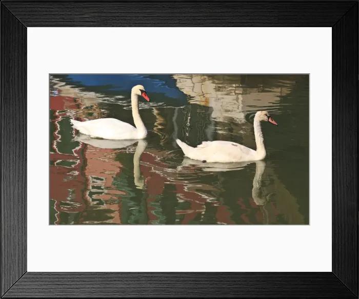 Framed Print : DDE-90032592 Framed Print : DDE-90032592
