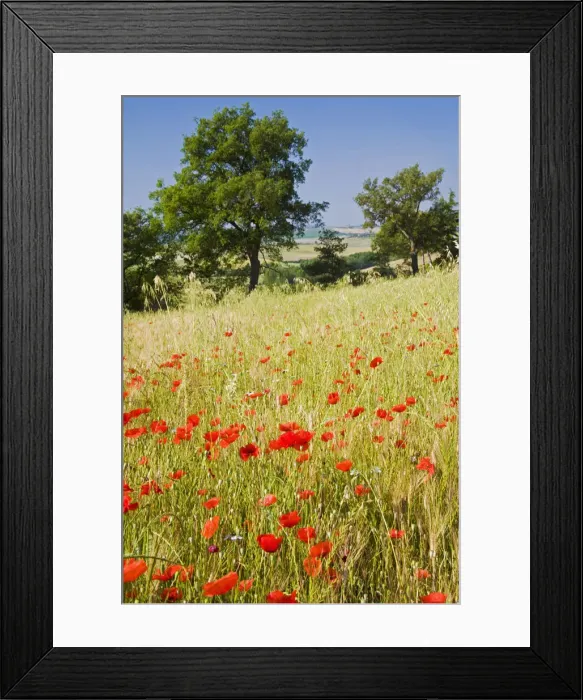 Framed Print : DDE-90032597