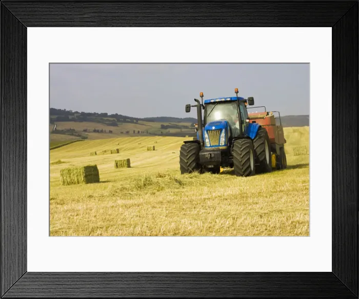 Framed Print : DDE-90032599 Framed Print : DDE-90032599