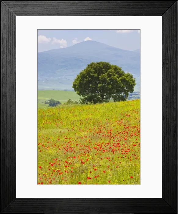 Framed Print : DDE-90032601