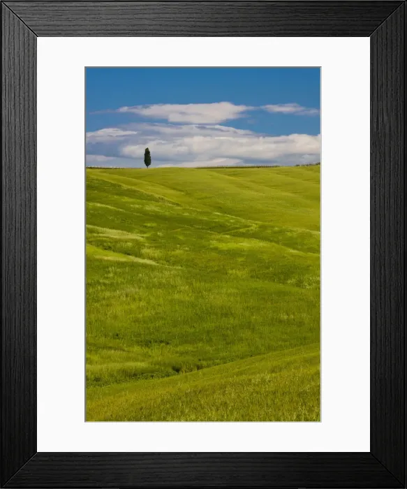 Framed Print : DDE-90032604 Framed Print : DDE-90032604