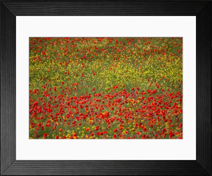 Framed Print : DDE-90032605 Framed Print : DDE-90032605