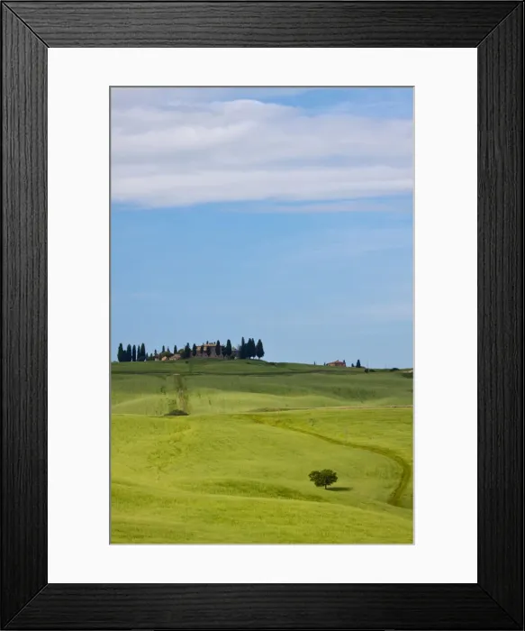 Framed Print : DDE-90032603 Framed Print : DDE-90032603