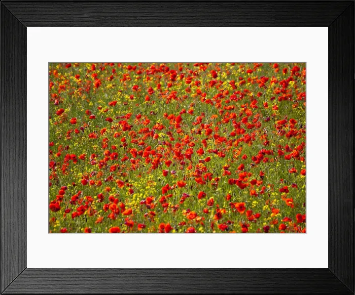 Framed Print : DDE-90032607 Framed Print : DDE-90032607