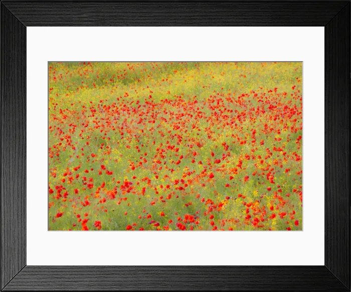 Framed Print : DDE-90032608 Framed Print : DDE-90032608