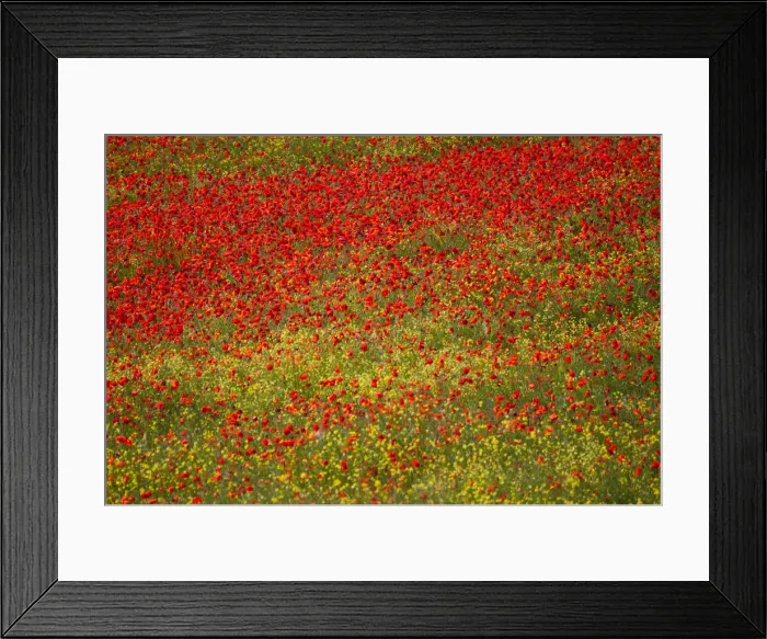 Framed Print : DDE-90032606 Framed Print : DDE-90032606