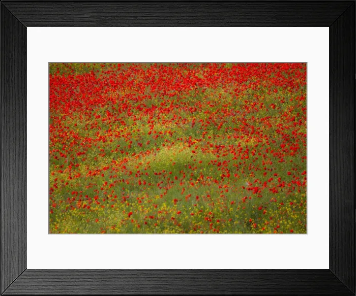Framed Print : DDE-90032609 Framed Print : DDE-90032609