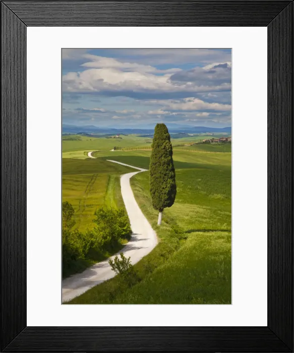 Framed Print : DDE-90032613 Framed Print : DDE-90032613