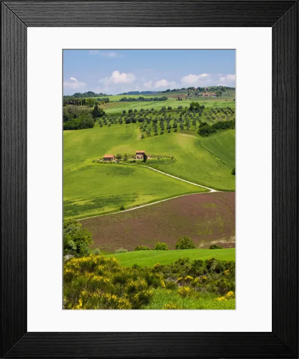 Framed Print : DDE-90032618 Framed Print : DDE-90032618