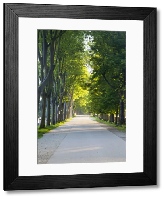 Framed Print : DDE-90032619 Framed Print : DDE-90032619