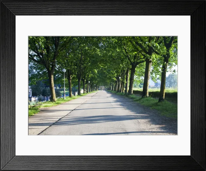 Framed Print : DDE-90032620 Framed Print : DDE-90032620