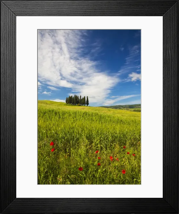 Framed Print : DDE-90032622 Framed Print : DDE-90032622