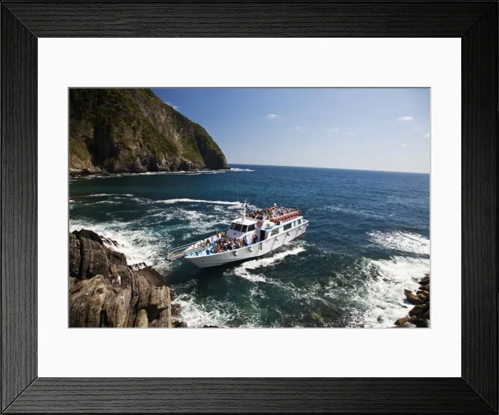 Framed Print : DDE-90032627 Framed Print : DDE-90032627