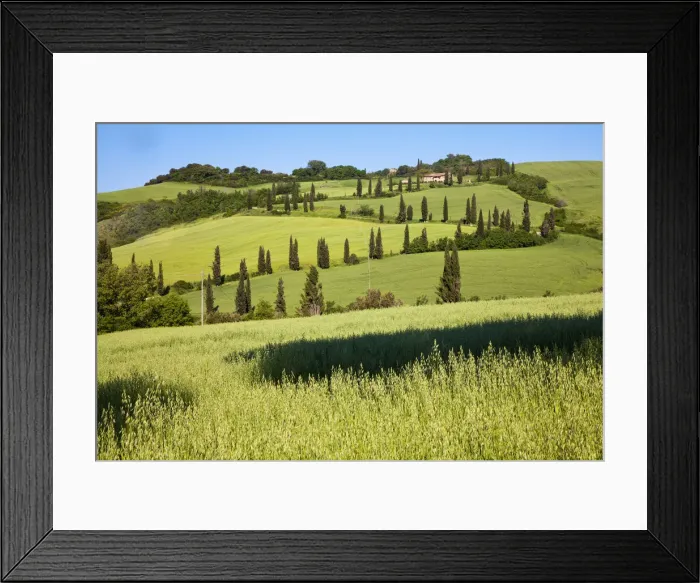 Framed Print : DDE-90032629